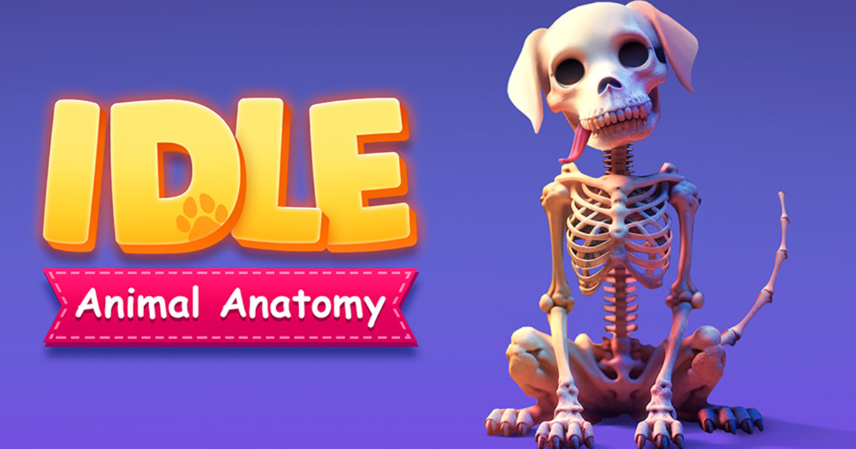 Idle Animal Anatomy Cover